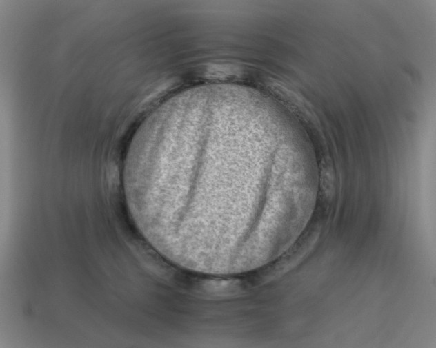 X0000114430375200911061648