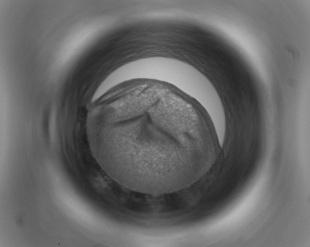 X0000114430382200911061648