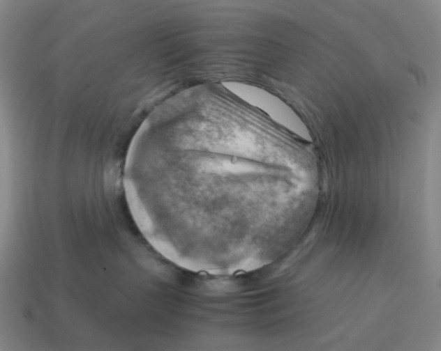 X0000114430383200911061648