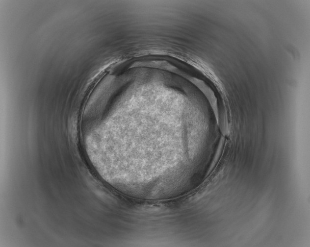 X0000114430386200911061647