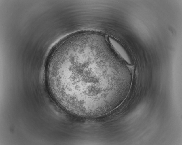 X0000114430388200911061647