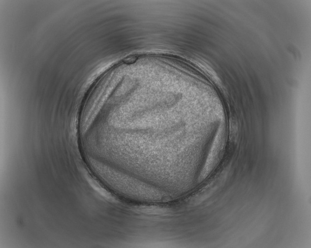 X0000114430389200911061647