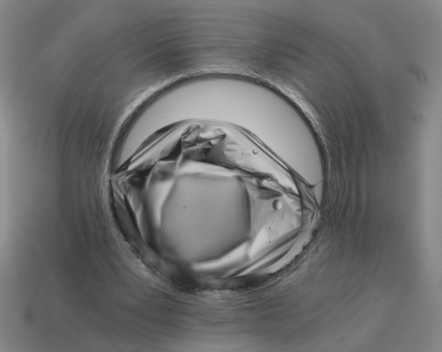 X0000114430391200911061647