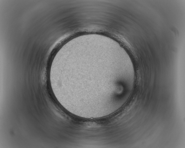 X0000114430392200911061647