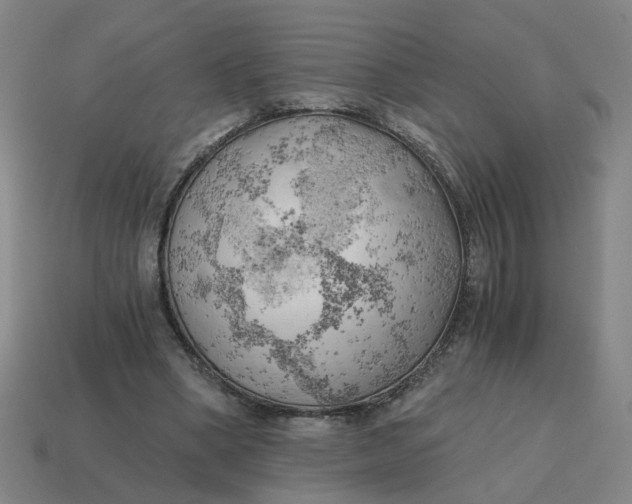 X0000114430394200911061647