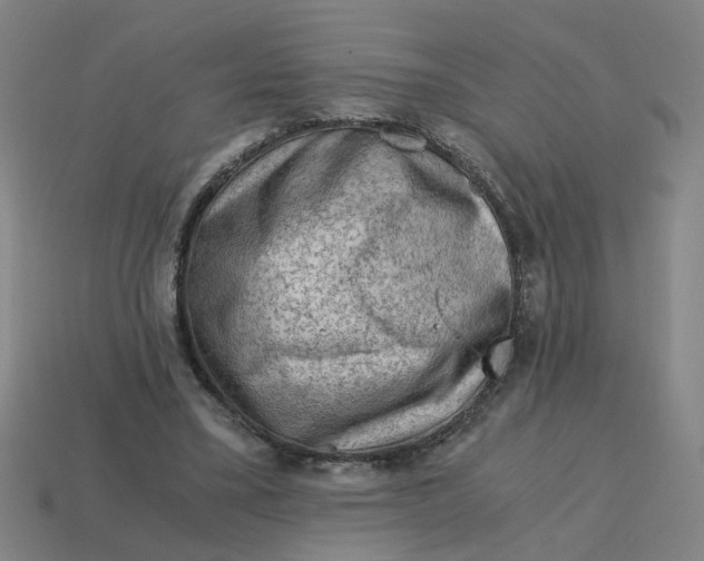 X0000114430395200911061647