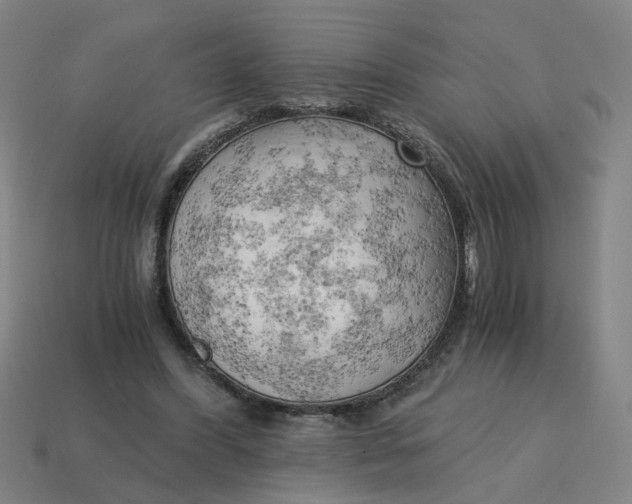 X0000114430396200911061647