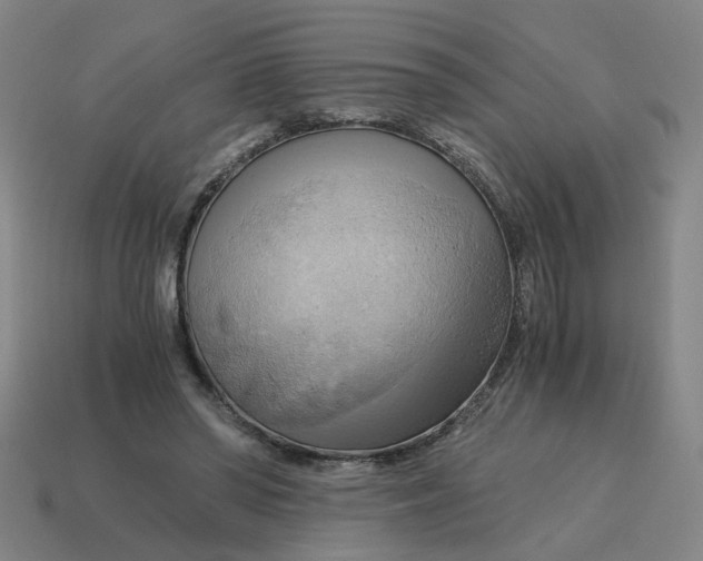 X0000114430398200911061647