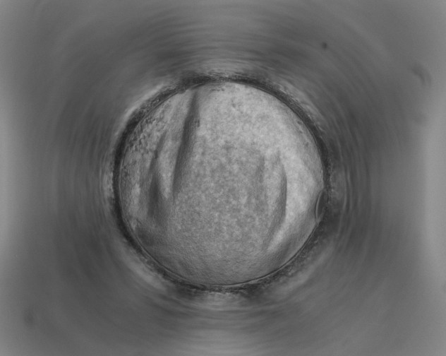 X0000114430399200911061647