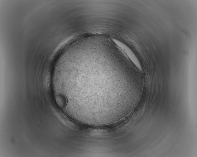 X0000114430400200911061647