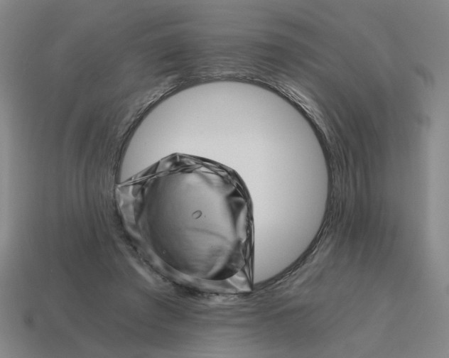X0000114430401200911061647