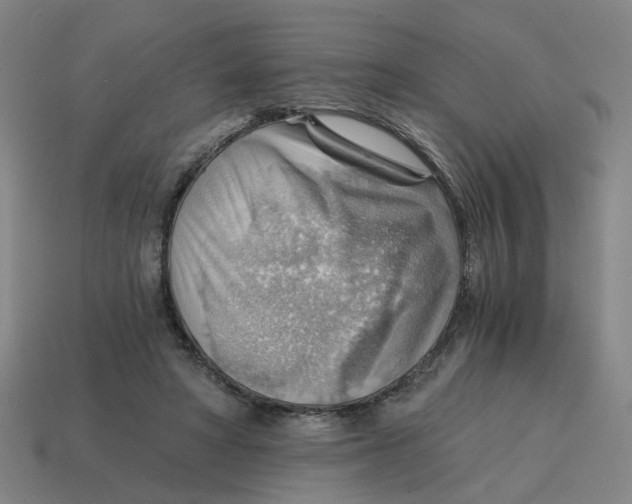 X0000114430402200911061647