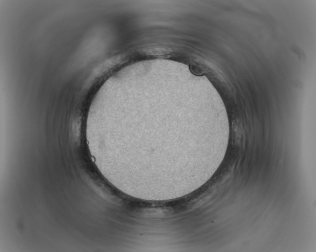 X0000114430404200911061647