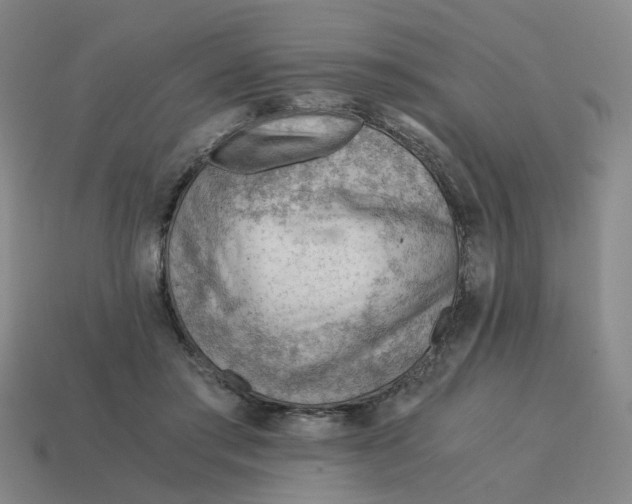 X0000114430405200911061647