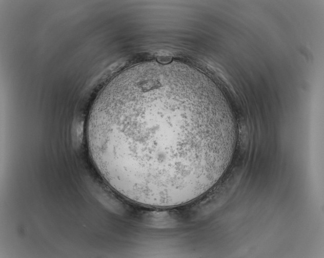 X0000114430406200911061647