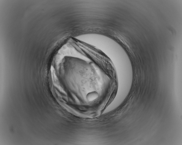 X0000114430407200911061647