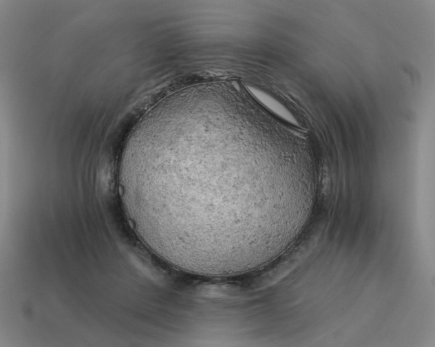 X0000114430408200911061647