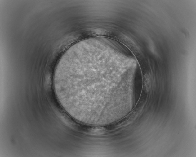 X0000114430410200911061647