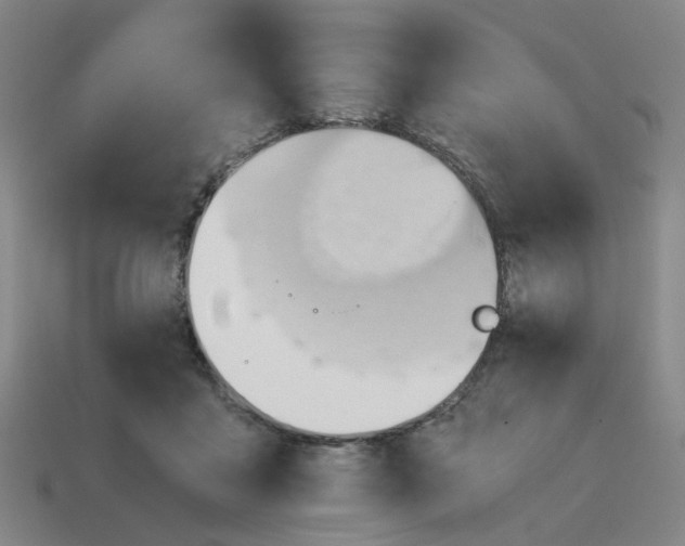 X0000114430411200911061647
