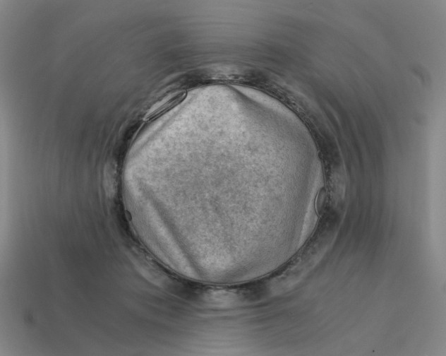 X0000114430413200911061647