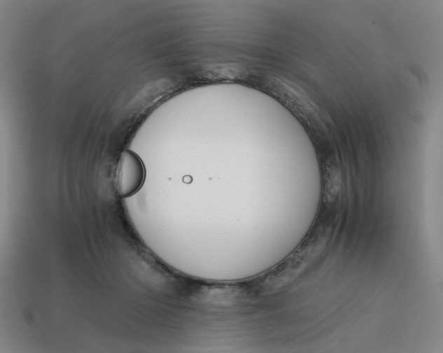 X0000114430414200911061647