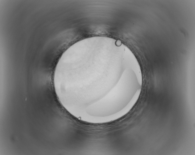 X0000114430415200911061647