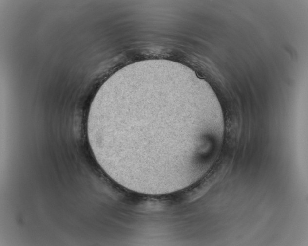 X0000114430416200911061647