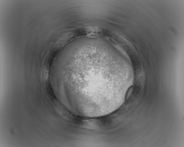 X0000114430417200911061647