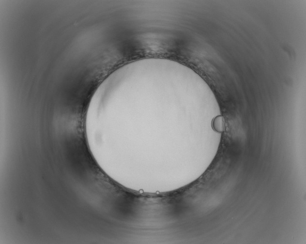 X0000114430419200911061647