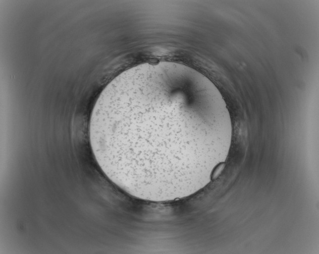 X0000114430421200911061647