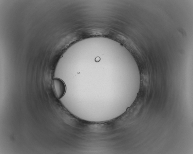 X0000114430422200911061647