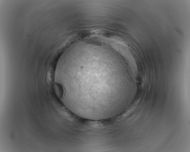 X0000114430424200911061647