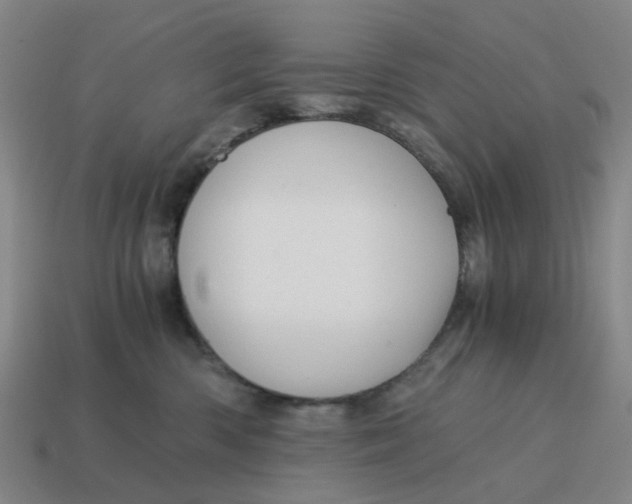 X0000114430426200911061647