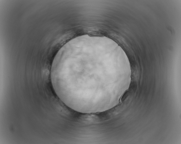 X0000114430427200911061647