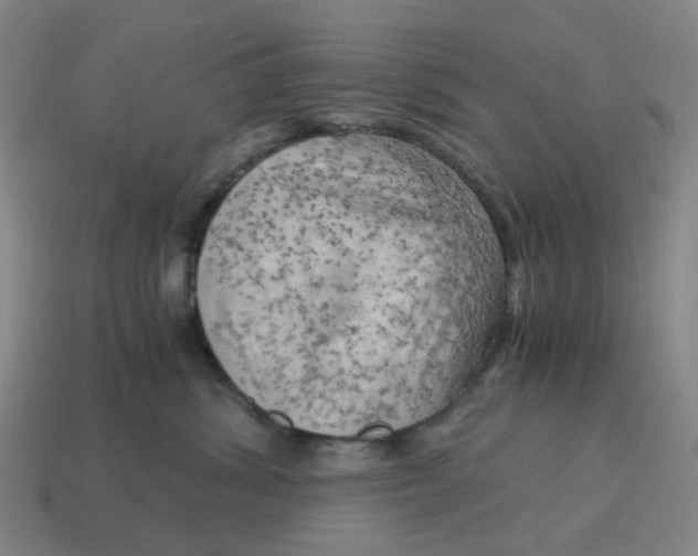 X0000114430428200911061647