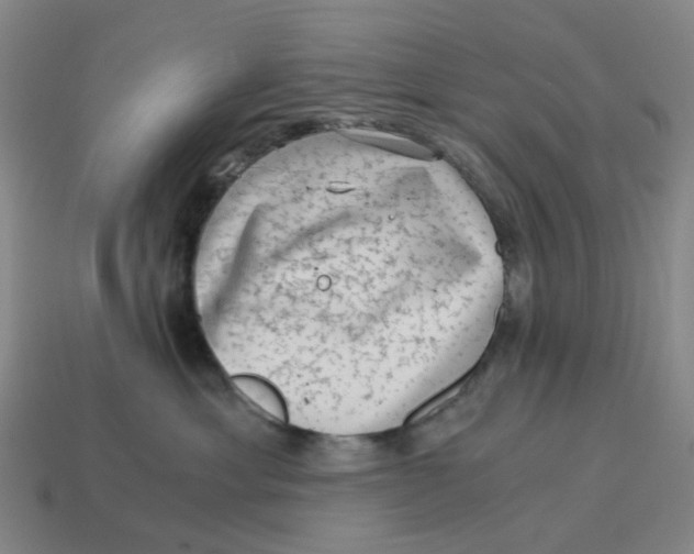 X0000114430429200911061647