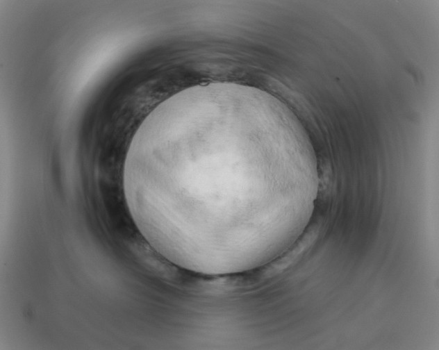 X0000114430430200911061647