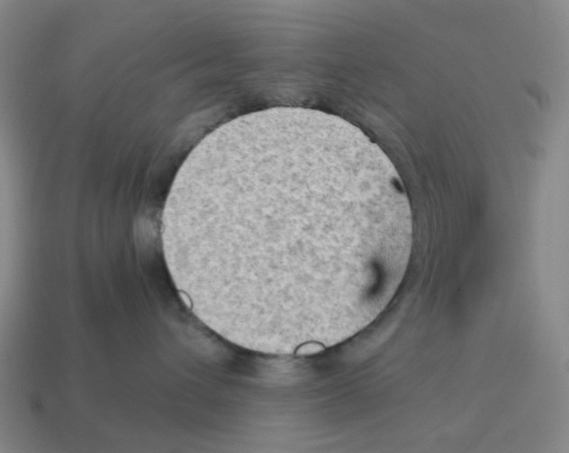 X0000114430432200911061647