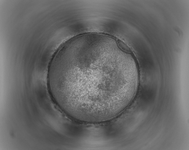 X0000114430434200911061646