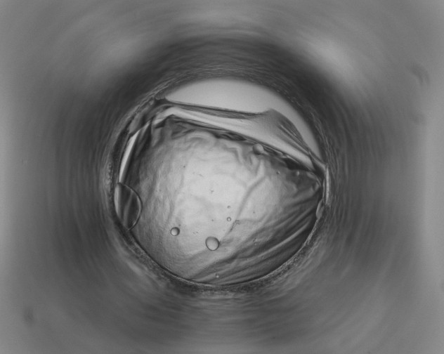 X0000114430435200911061646