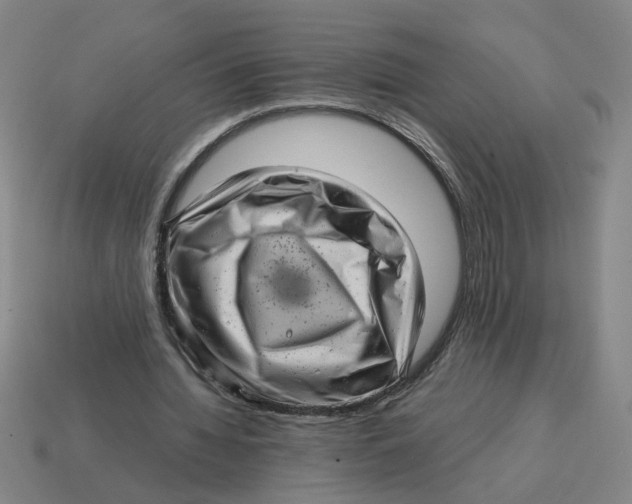 X0000114430436200911061646