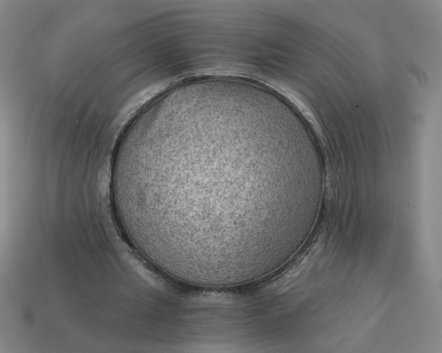 X0000114430437200911061646