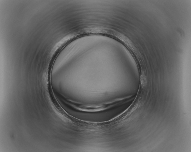 X0000114430438200911061646