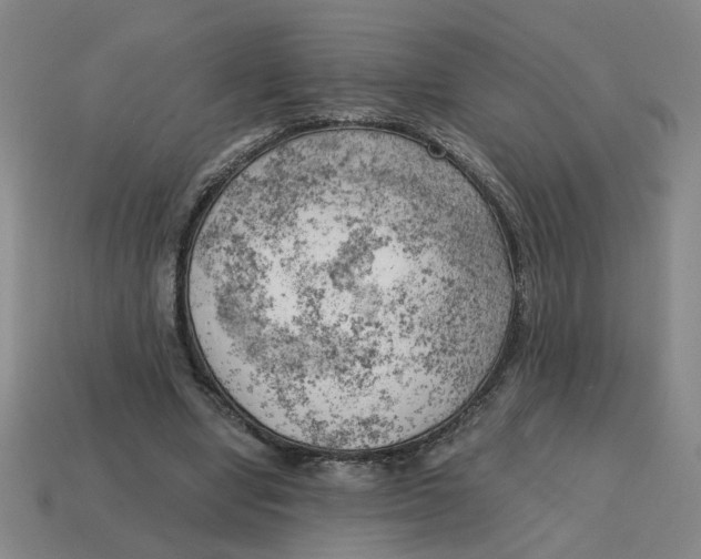 X0000114430442200911061646