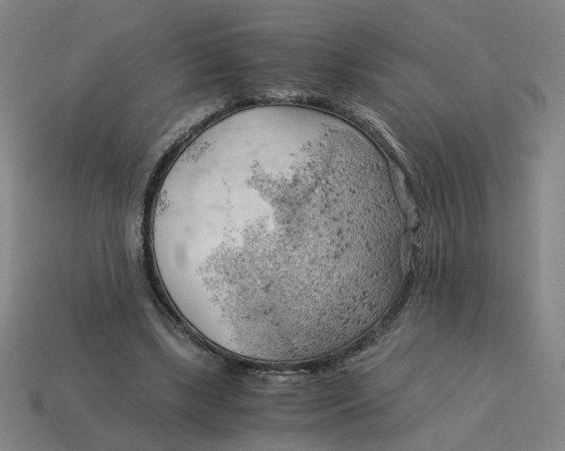 X0000114430443200911061646