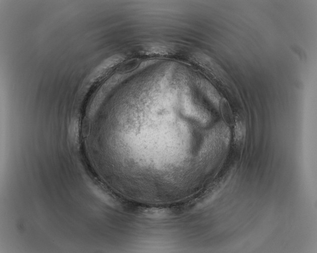 X0000114430444200911061646