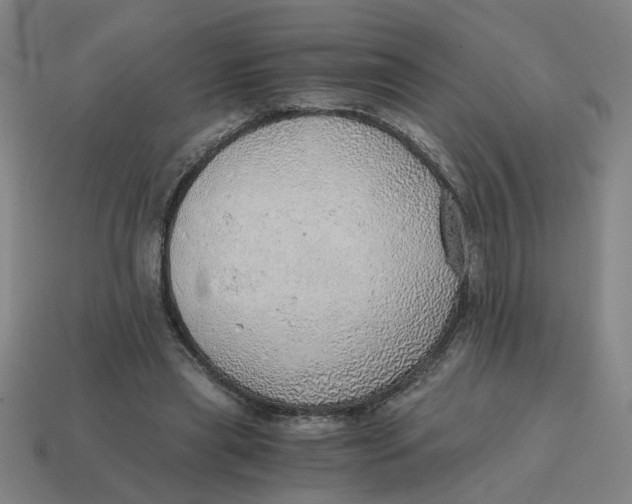 X0000114430445200911061646