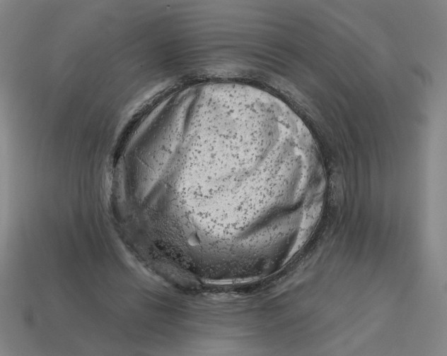 X0000114430446200911061646