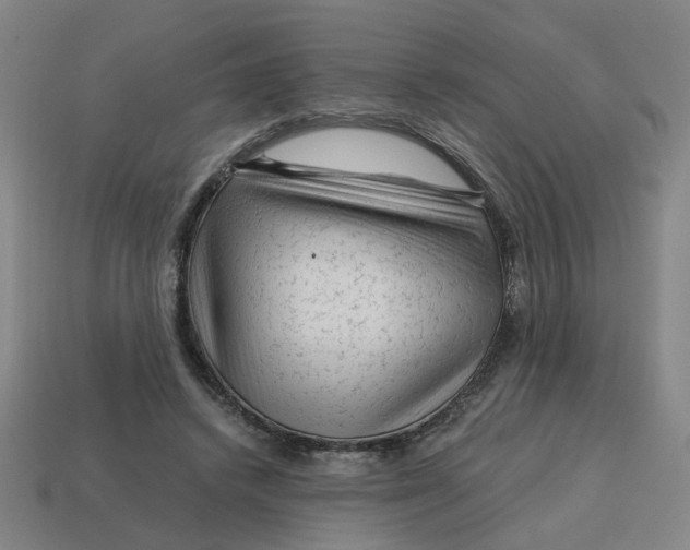 X0000114430448200911061646