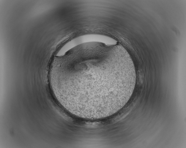 X0000114430450200911061646